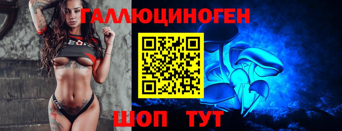 даркнет сайт  Псилоцибиновые грибы Magic Shrooms  Вход с VPN  Зеленогорск 